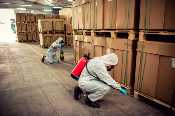 Best Pest Prevention Services  in Green Valley, MD