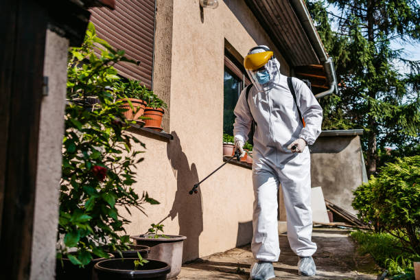 Best Cockroach Control Services  in Green Valley, MD