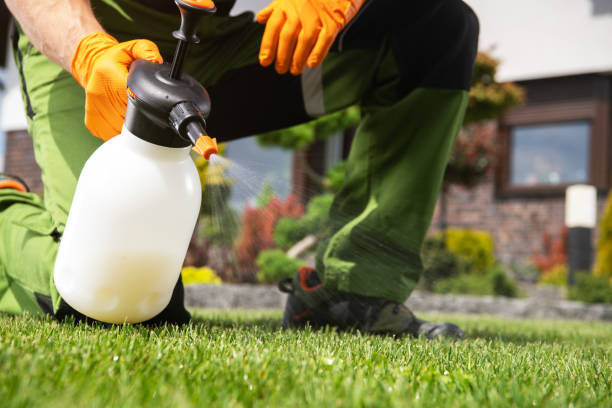 Wasp Removal Services in Green Valley, MD