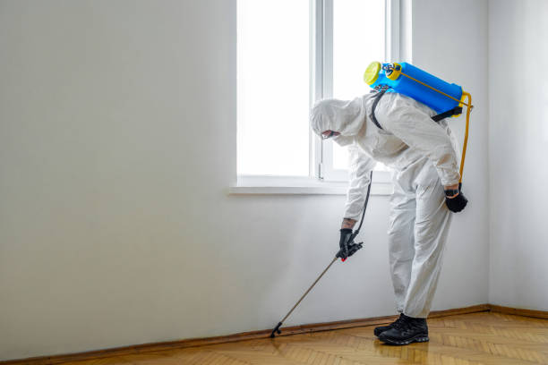 Reliable Green Valley, MD Pest Control Solutions