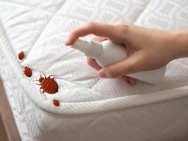 Best Best Pest Control Companies  in Green Valley, MD